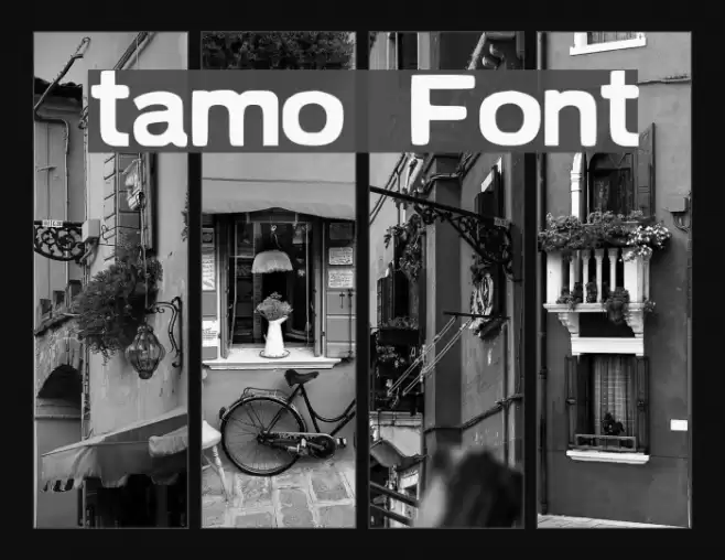 tamo Font examples