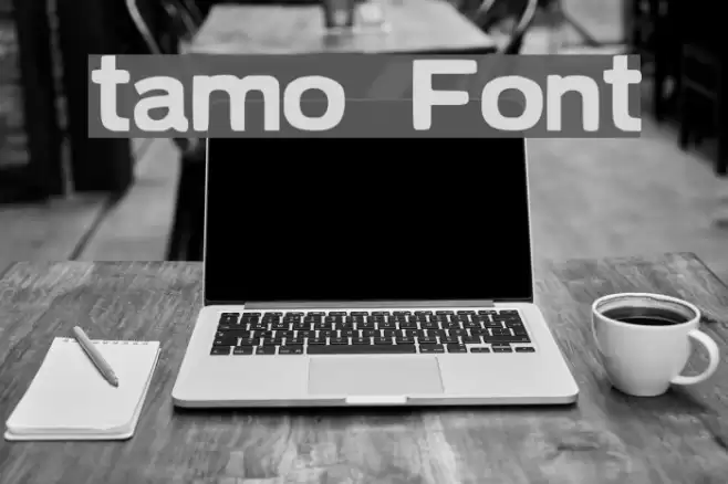 tamo Font examples