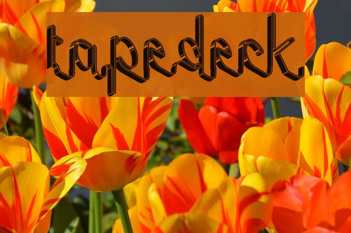 tape deck Font examples