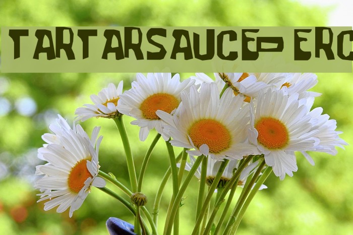 tartarsauce_erc Font examples