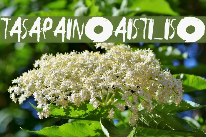 tasapainoaisti_iso Example 2