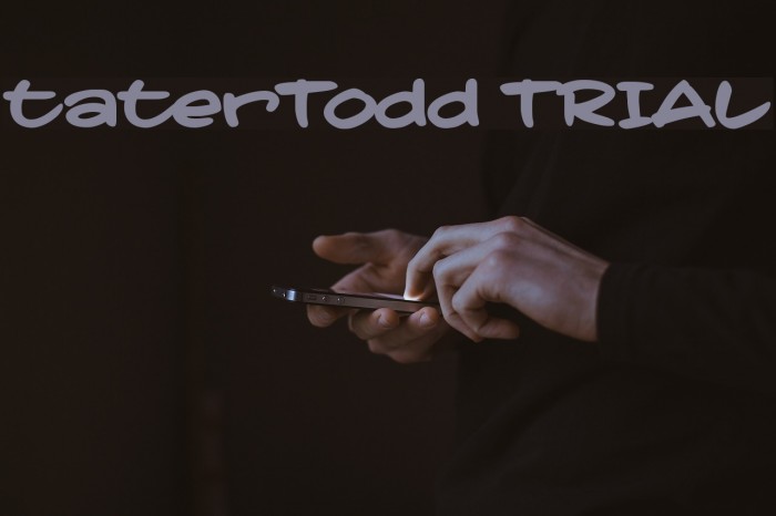 taterTodd TRIAL フォント examples