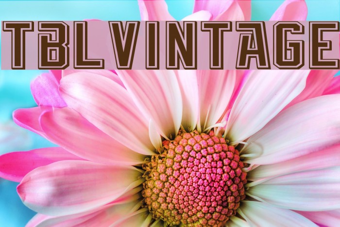 TBL_Vintage Font examples