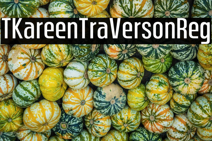 TC Kuareen Trial Version Reg Example 2