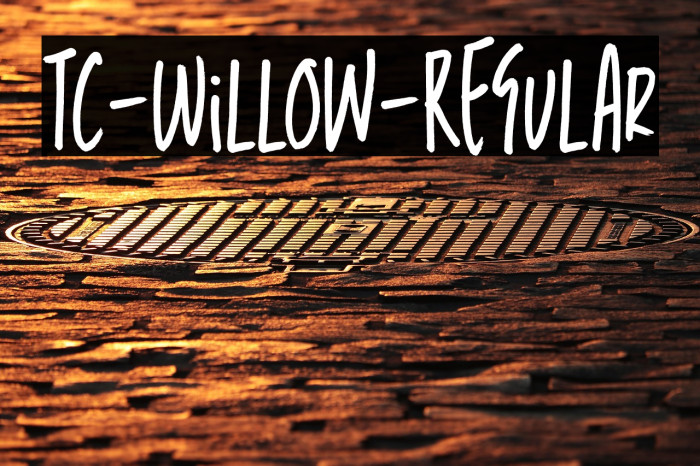 TC-Willow-Regular Example 1