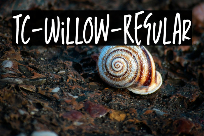 TC-Willow-Regular Example 3