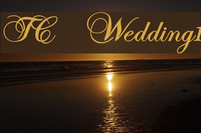 TC _Wedding1 Font examples