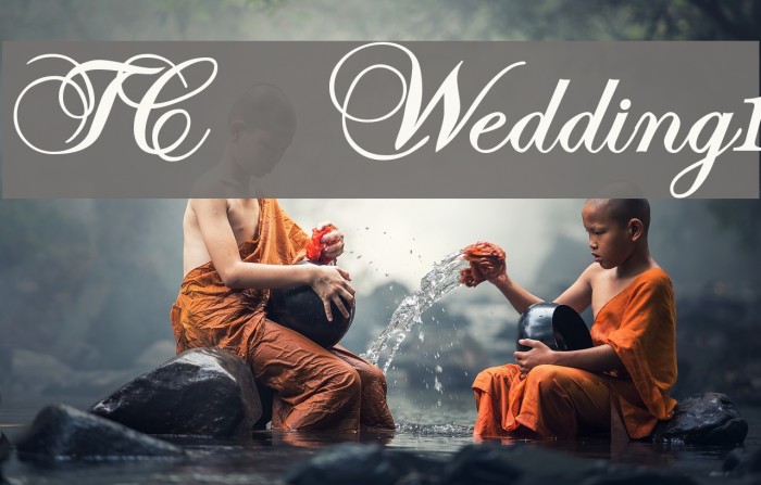 TC _Wedding1 Font examples