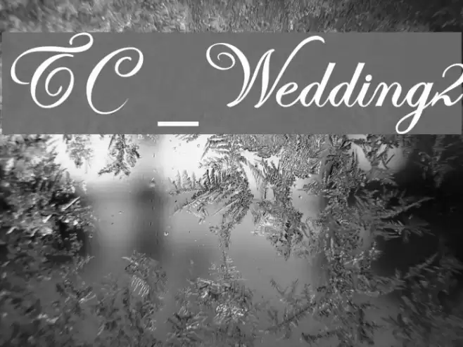 TC _Wedding2 Font examples