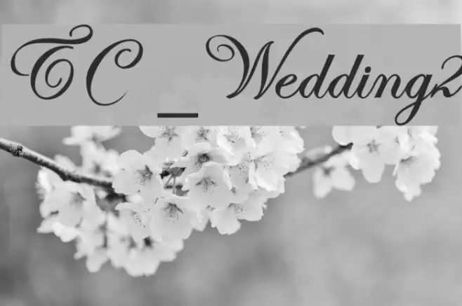 TC _Wedding2 Font examples
