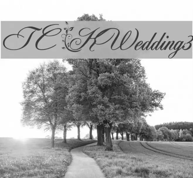 TC _Wedding3 Font examples