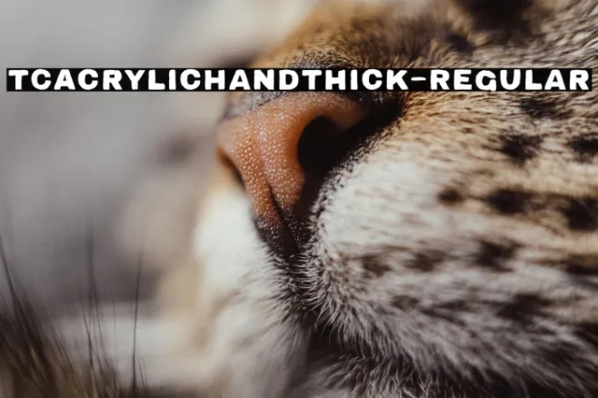TCAcrylicHandThick-Regular Example 2