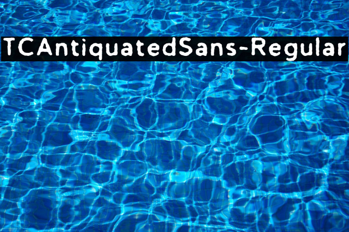 TCAntiquatedSans-Regular Example 2