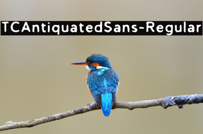 TCAntiquatedSans-Regular Example 3
