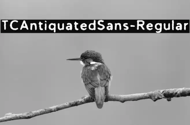 TCAntiquatedSans-Regular Font examples