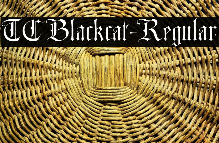 TCBlackcat-Regular Example 1