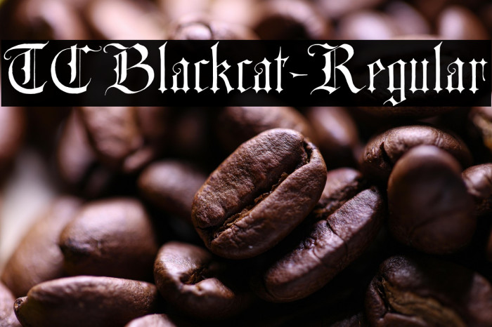 TCBlackcat-Regular Example 2