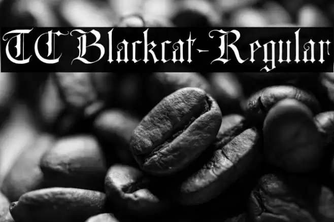 TCBlackcat-Regular フォント examples