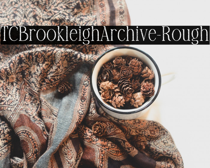 TCBrookleighArchive-Rough Example 1