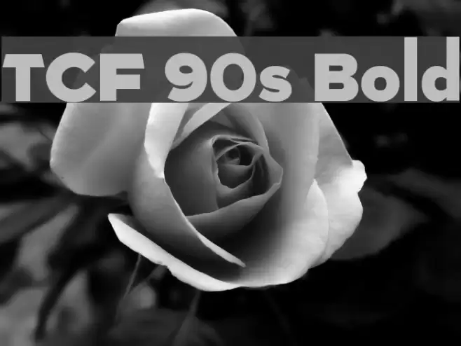 TCF 90s Bold Font examples