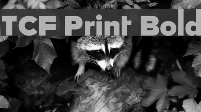 TCF Print Bold Font examples