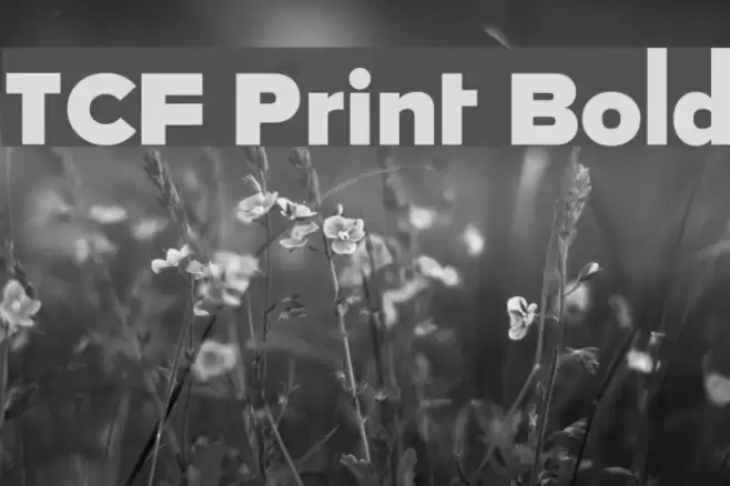 TCF Print Bold Font examples