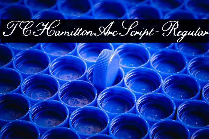 TCHamiltonArcScript-Regular Example 1