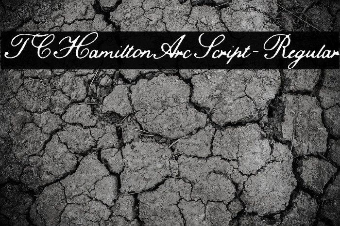 TCHamiltonArcScript-Regular Example 2