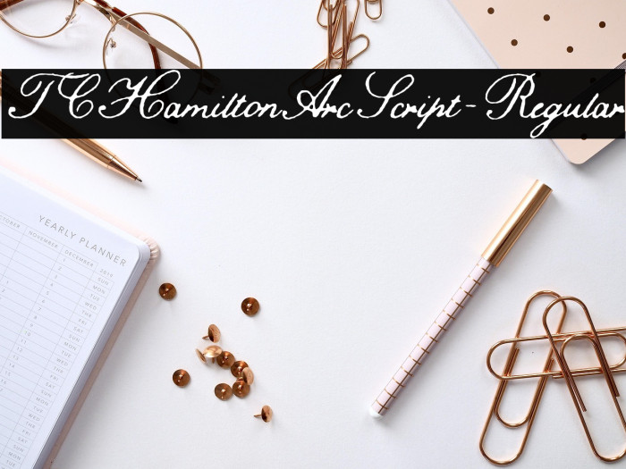 TCHamiltonArcScript-Regular Example 3