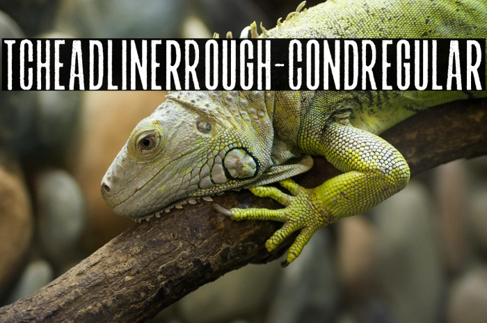 TCHeadlinerRough-CondRegular Example 2