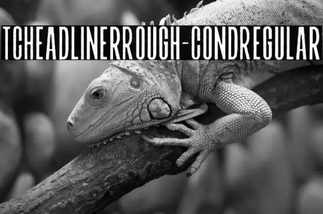 TCHeadlinerRough-CondRegular Font examples