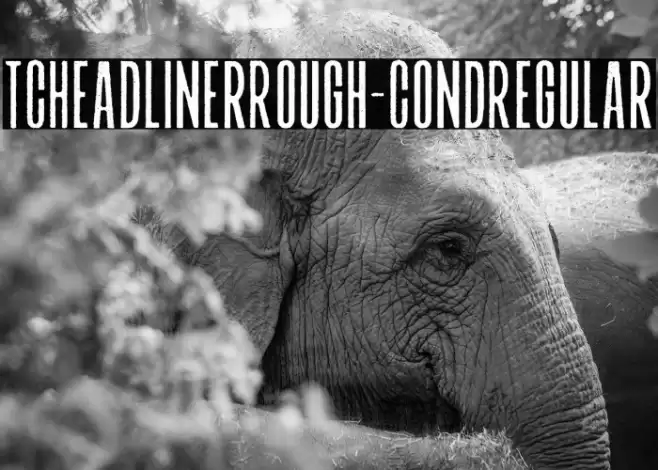TCHeadlinerRough-CondRegular Font examples