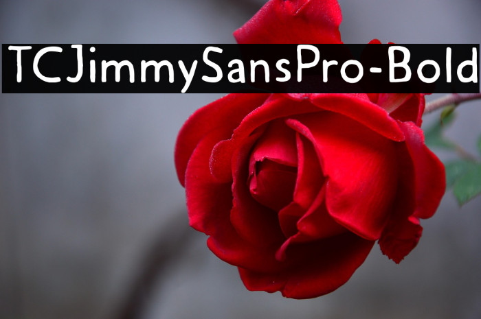 TCJimmySansPro-Bold Example 2