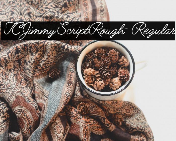 TCJimmyScriptRough-Regular Example 1