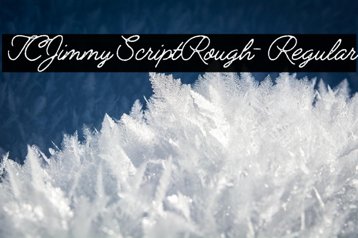 TCJimmyScriptRough-Regular Example 2