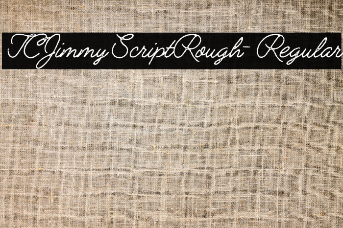 TCJimmyScriptRough-Regular Example 3