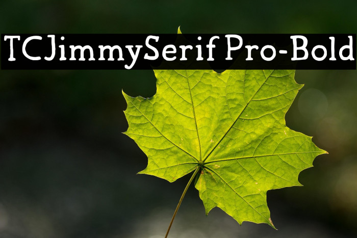 TCJimmySerifPro-Bold Example 2