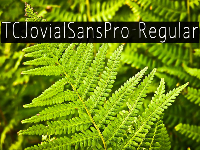 TCJovialSansPro-Regular Example 3