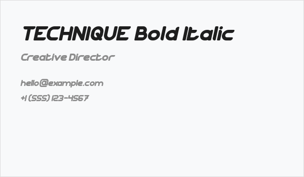 TECHNIQUE Bold Italic Business Card