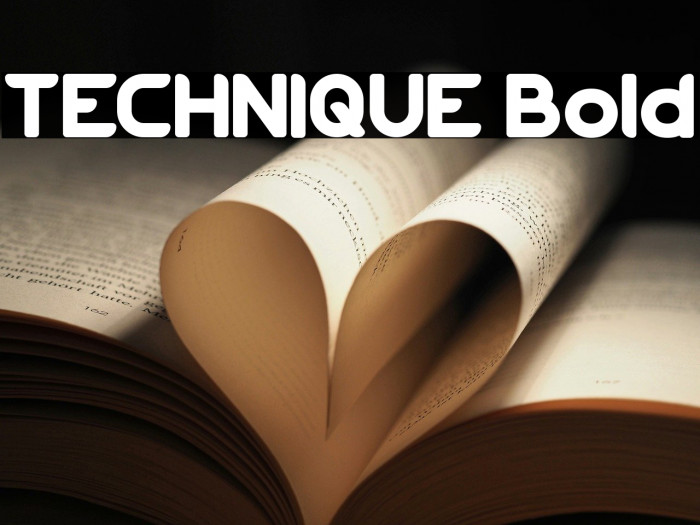 TECHNIQUE Bold Example 1