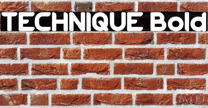 TECHNIQUE Bold Example 2