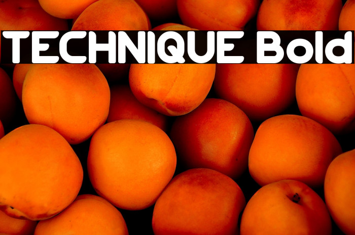 TECHNIQUE Bold Example 3