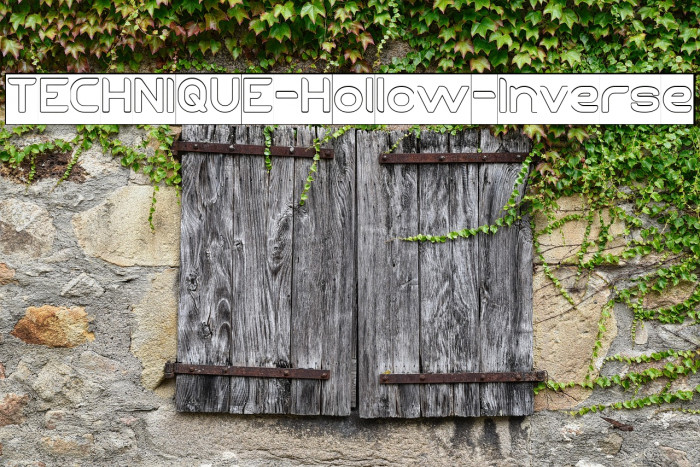 TECHNIQUE-Hollow-Inverse Example 1