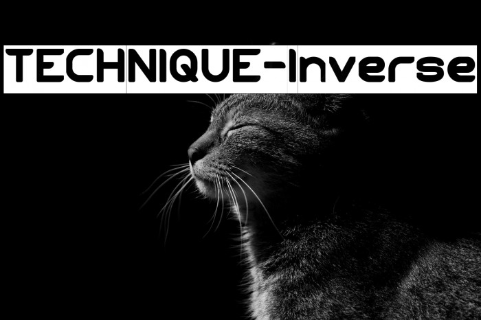 TECHNIQUE-Inverse Example 2