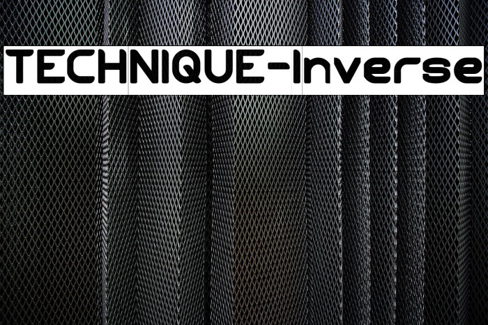 TECHNIQUE-Inverse Example 3