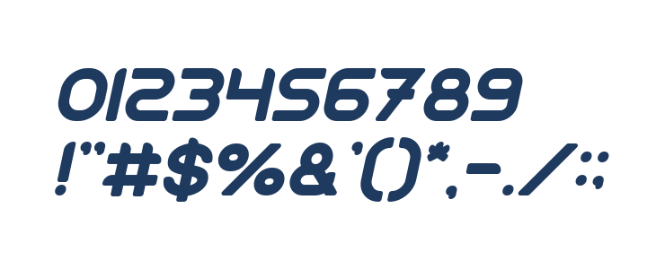 TECHNIQUE Italic Other Characters