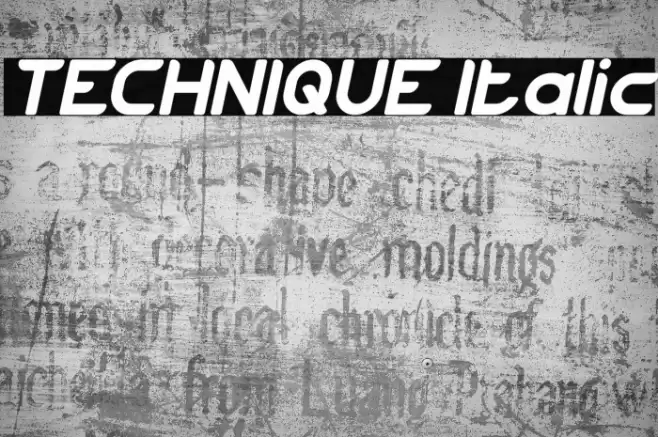 TECHNIQUE Italic Font examples
