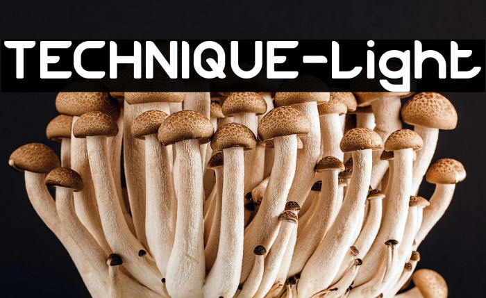 TECHNIQUE-Light Example 2