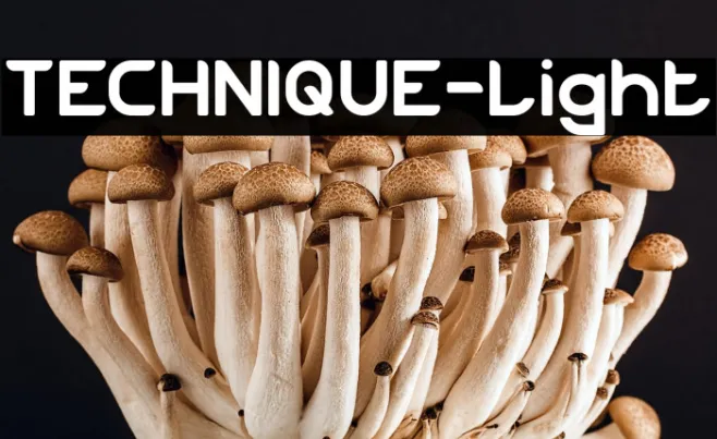 TECHNIQUE-Light Example 2