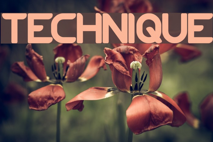 TECHNIQUE Font examples